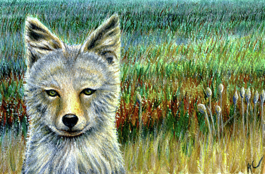 Coyote Pup Painting