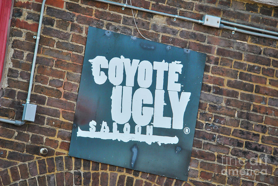 Coyote Ugly Photograph by Pamela Williams