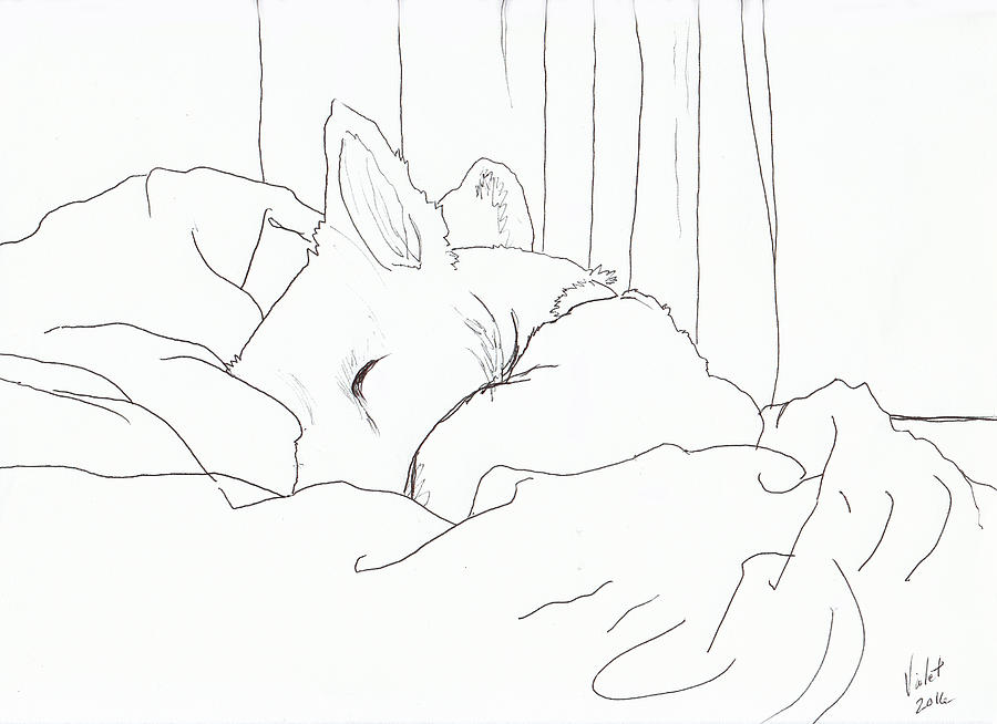 Cozy Dog Drawing by Violet Jaffe