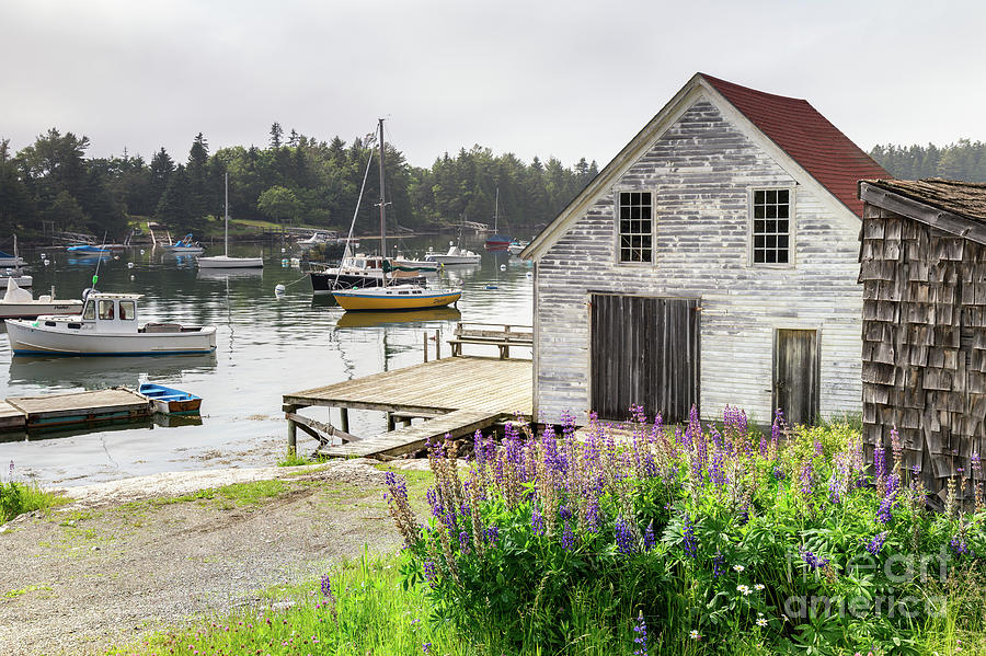 Cozy Island Harbor Southport Maine Photograph by Dawna Moore Photography