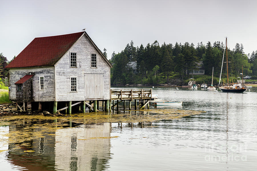 Cozy Island Southport Maine Photograph by Dawna Moore Photography