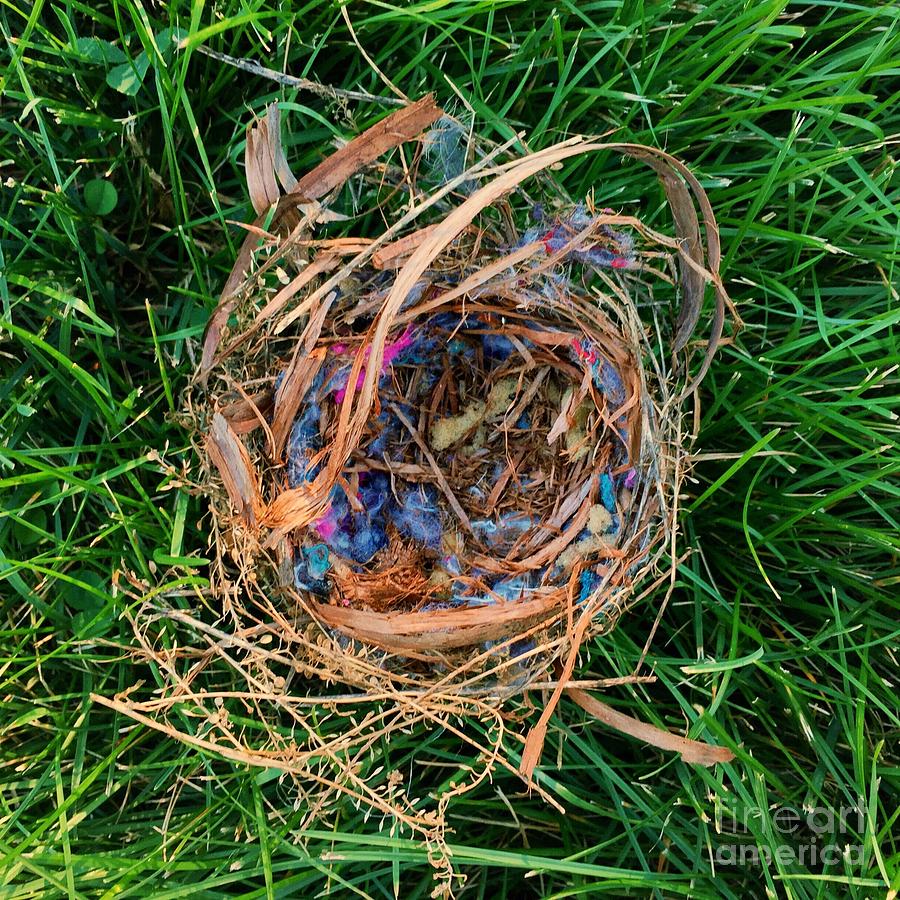 Cozy Nest by Kristen Kopp Cozy Nest by Kristen Kopp