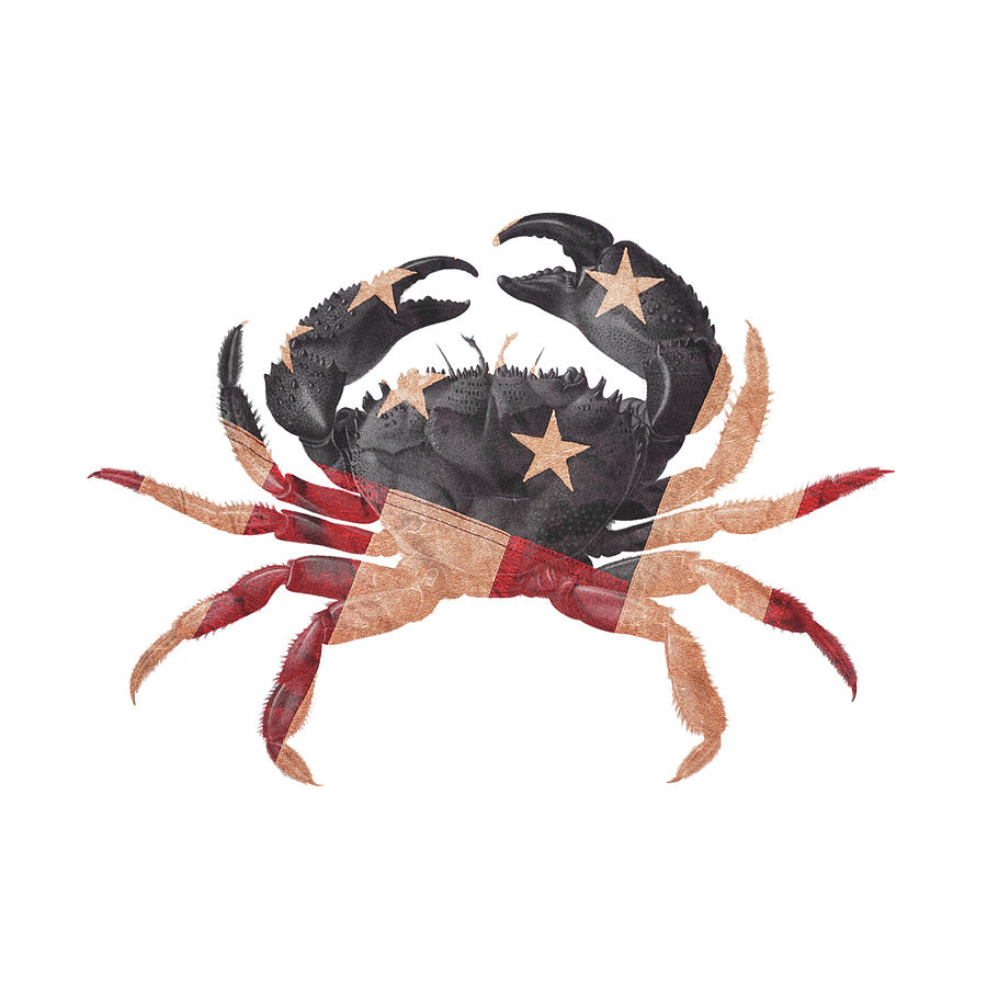 Crab Americana Digital Art by Erin Cadigan