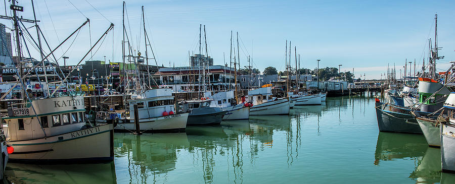 Crab Boats Photograph by Paul Freidlund