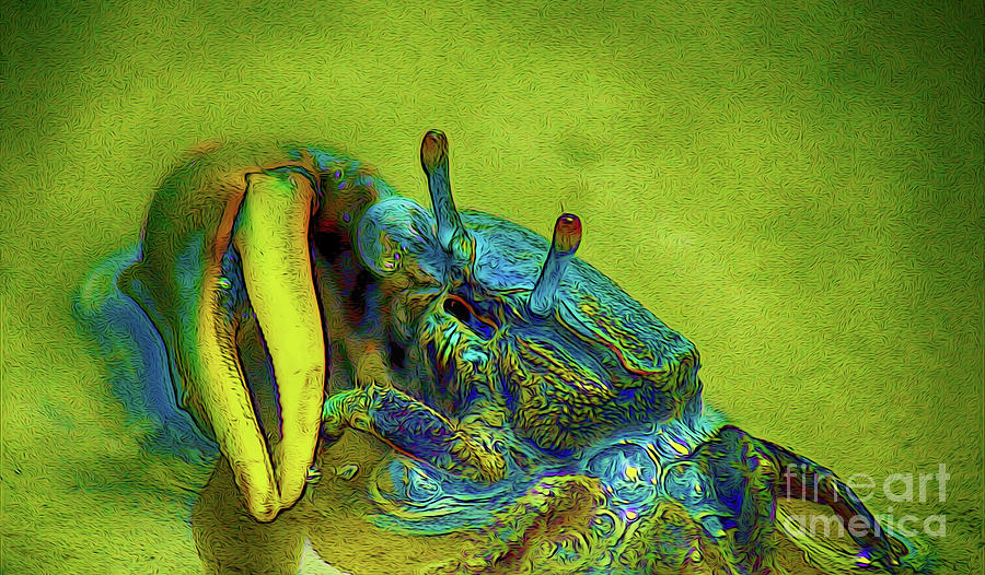 Crab Cakez 2 Digital Art