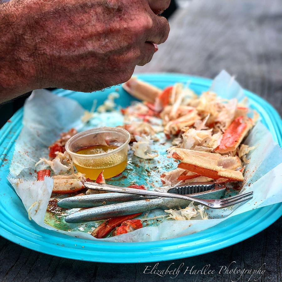 Crab Catcher Photograph by Elizabeth Harllee