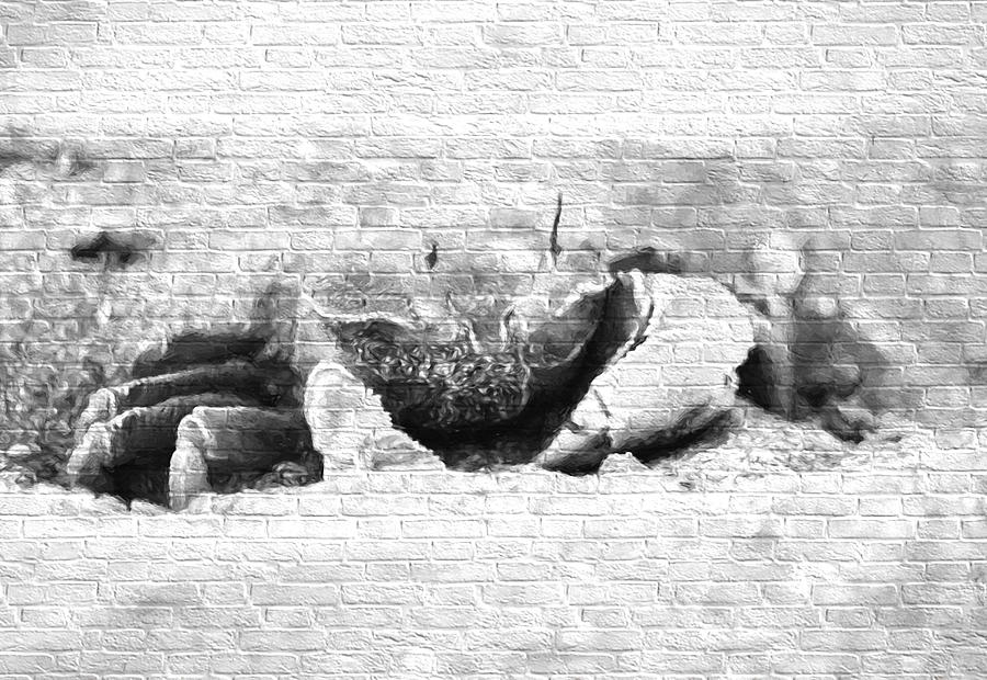 Crab Graffiti Digital Art by Roy Pedersen