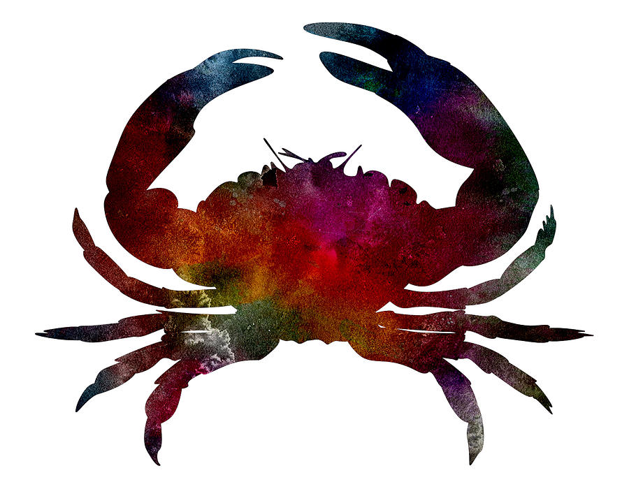 Crab Nebula by Michael Colgate Crab Nebula by Michael Colgate