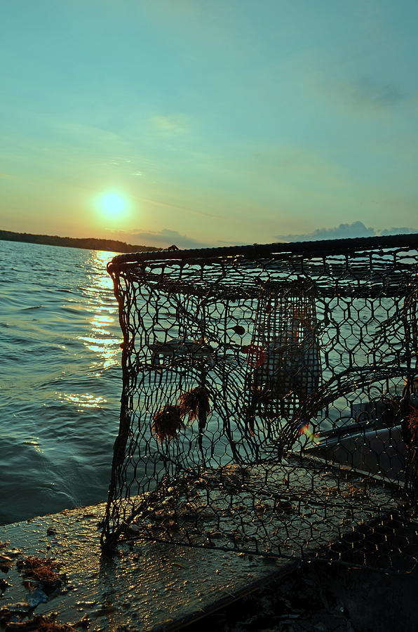 Crab Pot on the River Photograph by La Dolce Vita