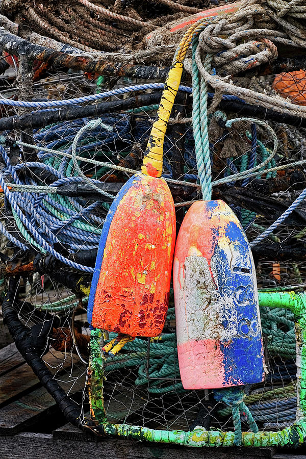 Crab Pots and Buoys Photograph by Carol Leigh