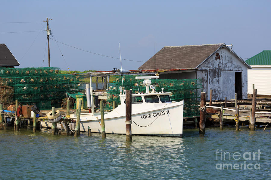 Crab pots beside a shanty and deadrise workboat on Tangier Island Photograph by Louise Heusinkveld