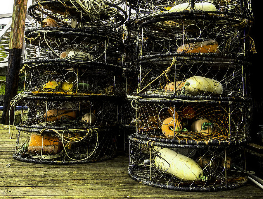 Crab Pots Photograph by Thomas Ashcraft