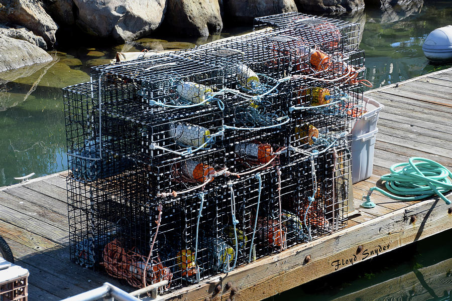 Crab Traps In Morro Bay Photograph by Floyd Snyder