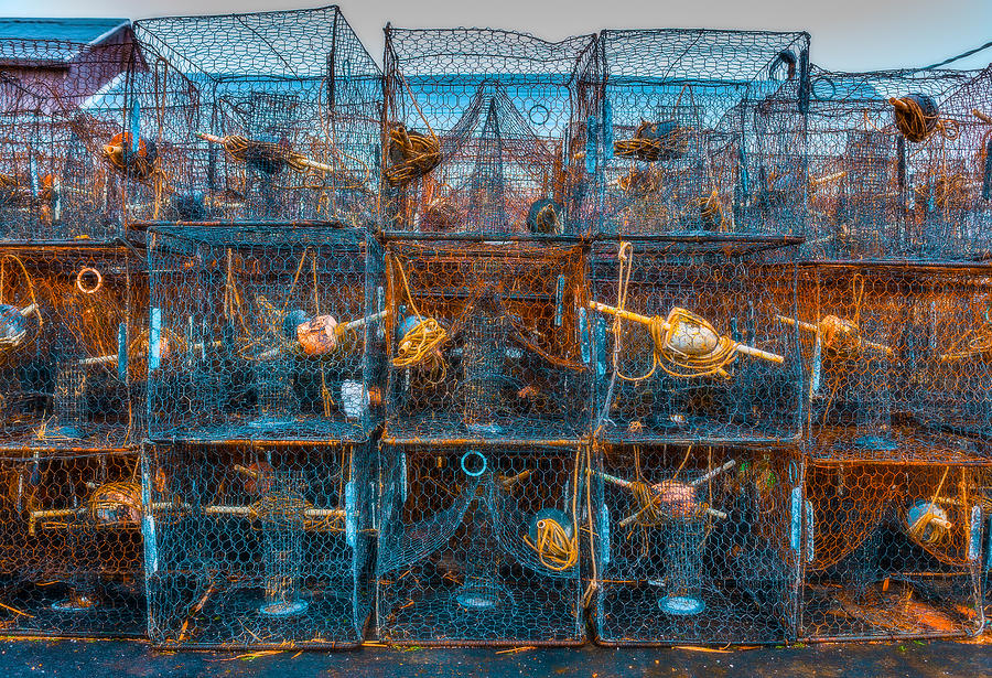Crab Traps Photograph by Steven Maxx