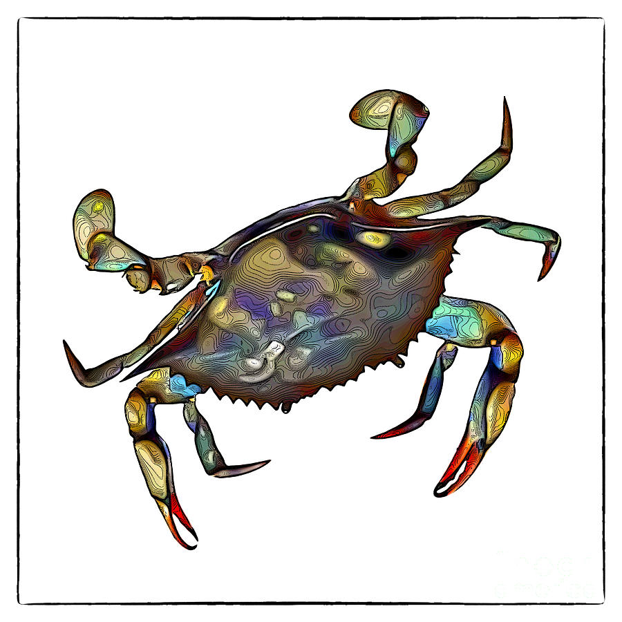 Crab Digital Art by Walt Foegelle