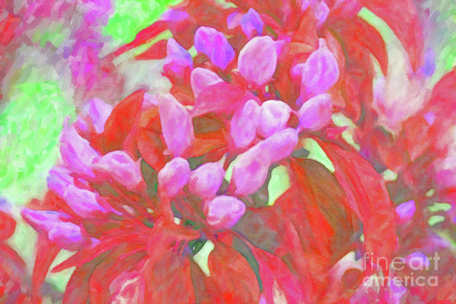 Crabapple Blossom Bright Painting by Donna L Munro