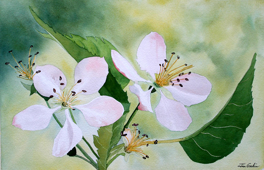 Crabapple Blossom Painting by Jim Gerkin
