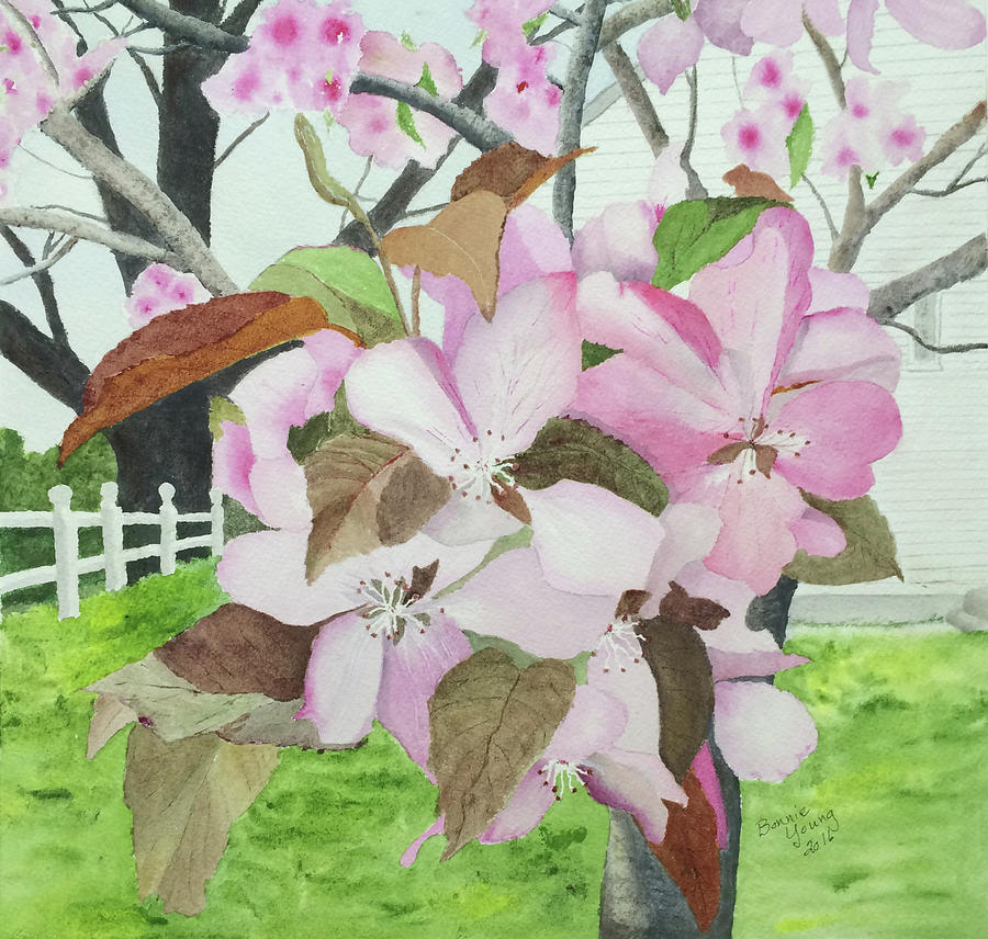 Crabapple Blossoms Painting by Bonnie Young