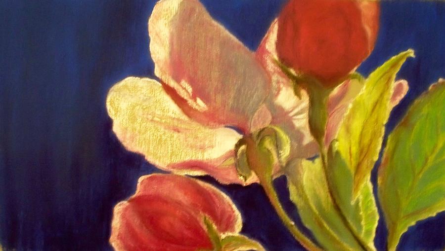 Crabapple Blossoms Pastel by Celene Terry
