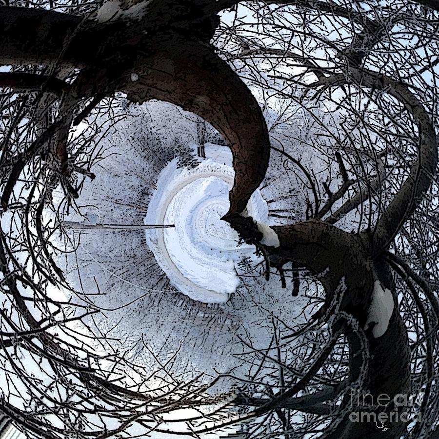 Crabapple Tree Digital Art by Ronald Bissett
