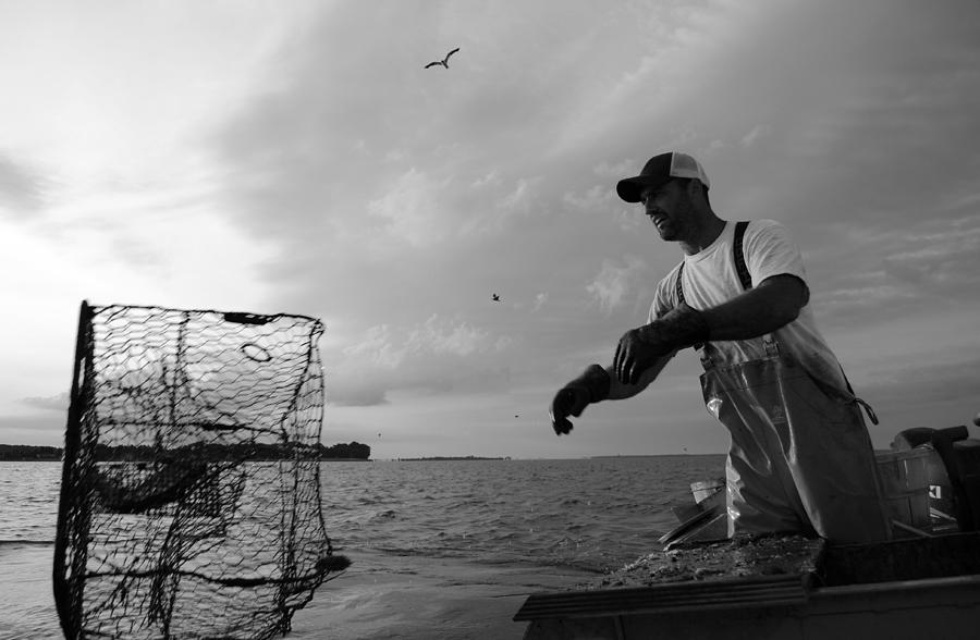 Crabbing Photograph by La Dolce Vita