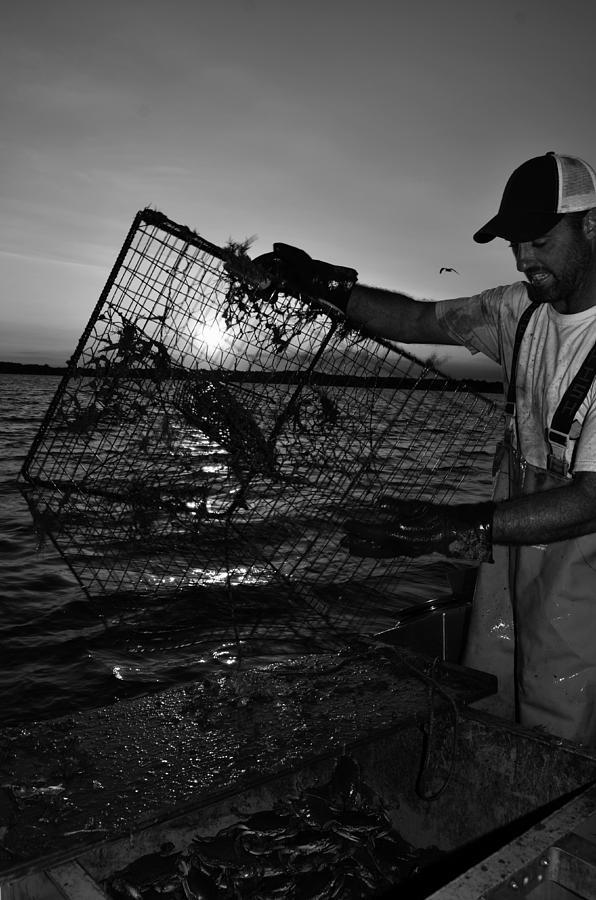 Crabbing on the Potomac Photograph by La Dolce Vita