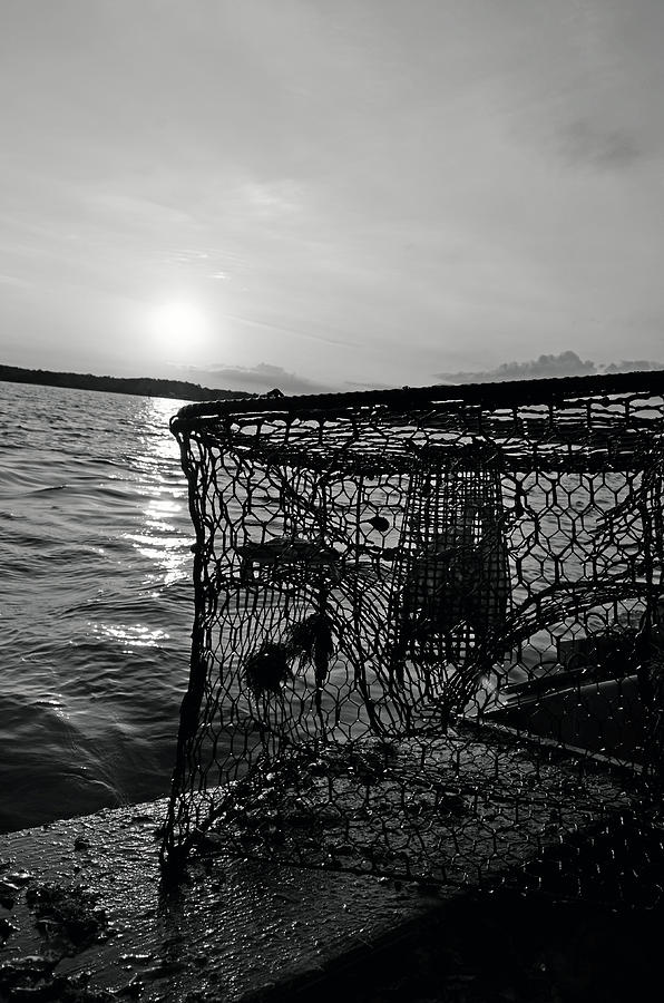 Crabbing on the River Photograph by La Dolce Vita