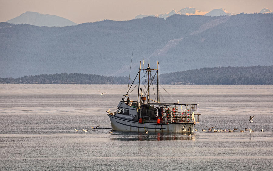 Boat Photograph - Crabbing by Randy Hall