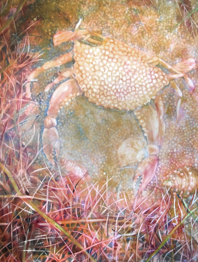 Crabby Painting by Cora Marshall