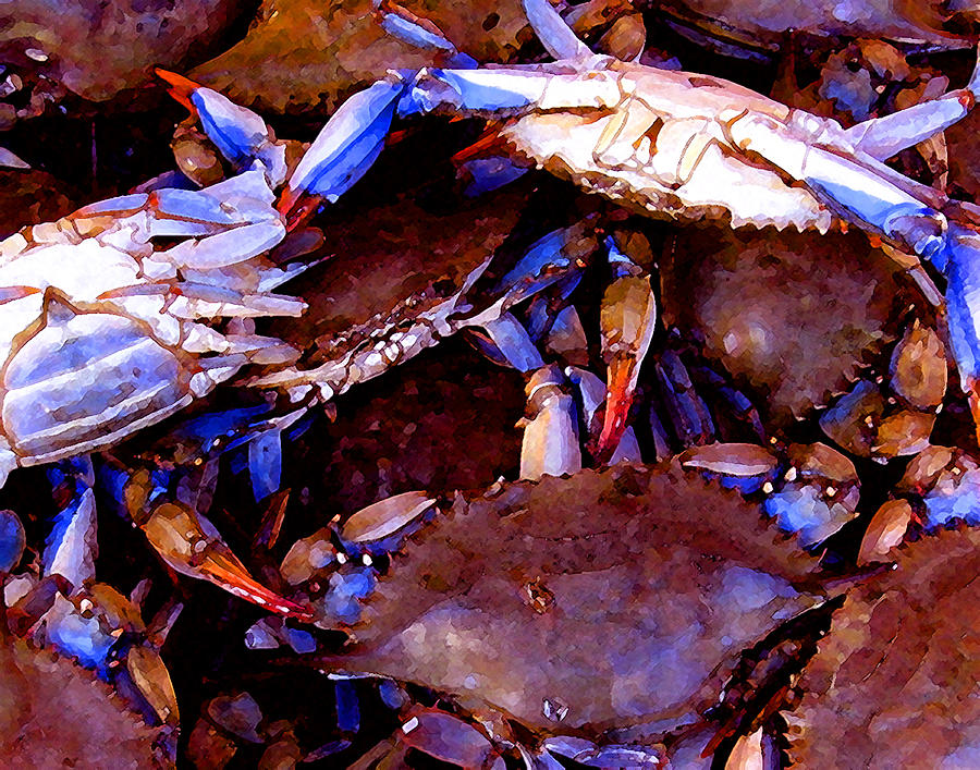 Crabs at the Market Digital Art by Timothy Bulone