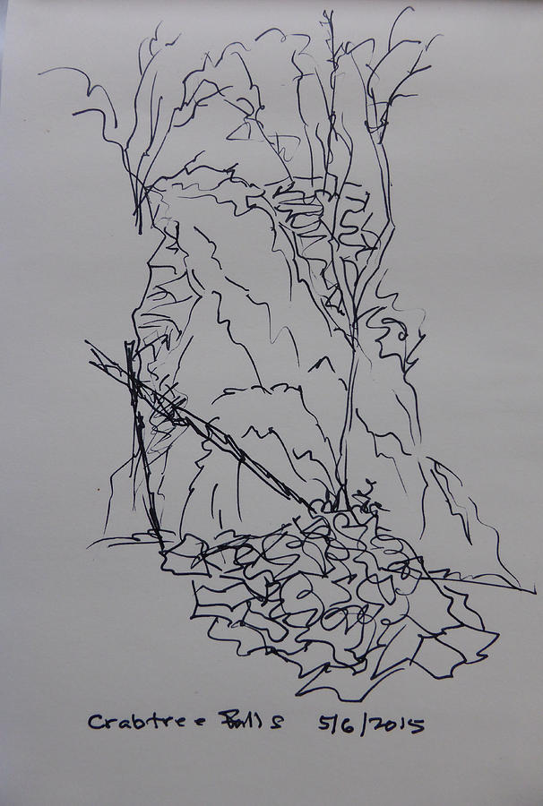 Us National Parks Drawing - Crabtree Falls - a sketch by Joel Deutsch