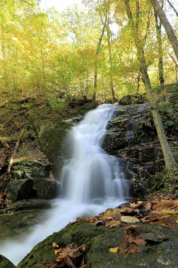 Crabtree Falls in the Fall Photograph by M C Hood
