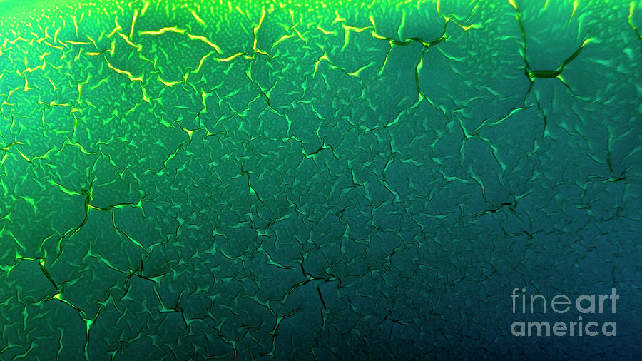 Cracks under Microscope by Beauty of Science Cracks under Microscope by Beauty of Science