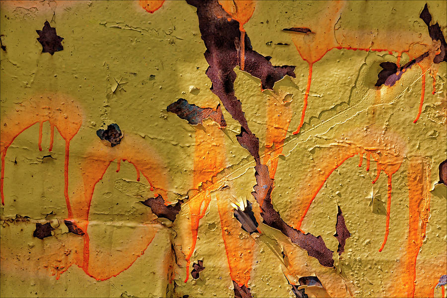 Cracked and Peeling Yellow Paint Photograph by Robert Ullmann