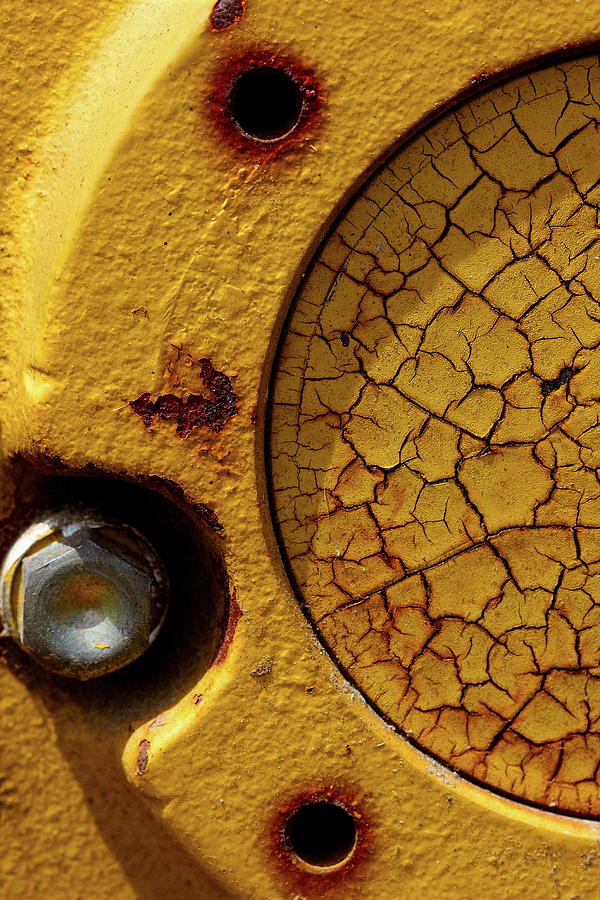 Cracked and Yellow Photograph by Chuck De La Rosa