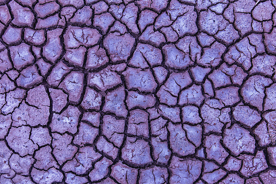 Nature Photograph - Cracked Dry Earth by Garry Gay