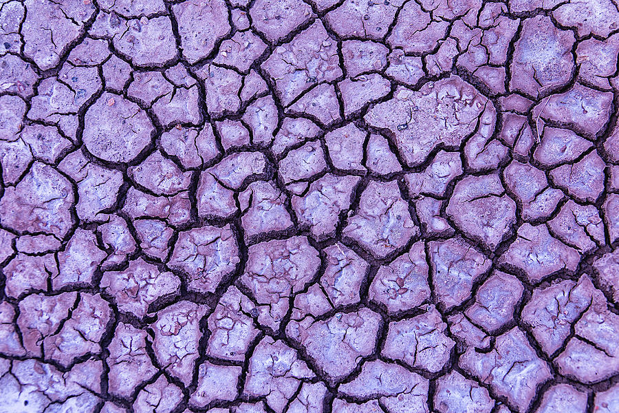 Nature Photograph - Cracked Earth by Garry Gay