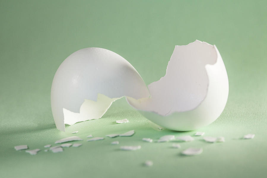Cracked Egg Shell On Green Photograph by Iris Richardson