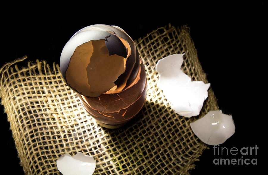 Cracked Egg Shells Photograph by Deborah Klubertanz