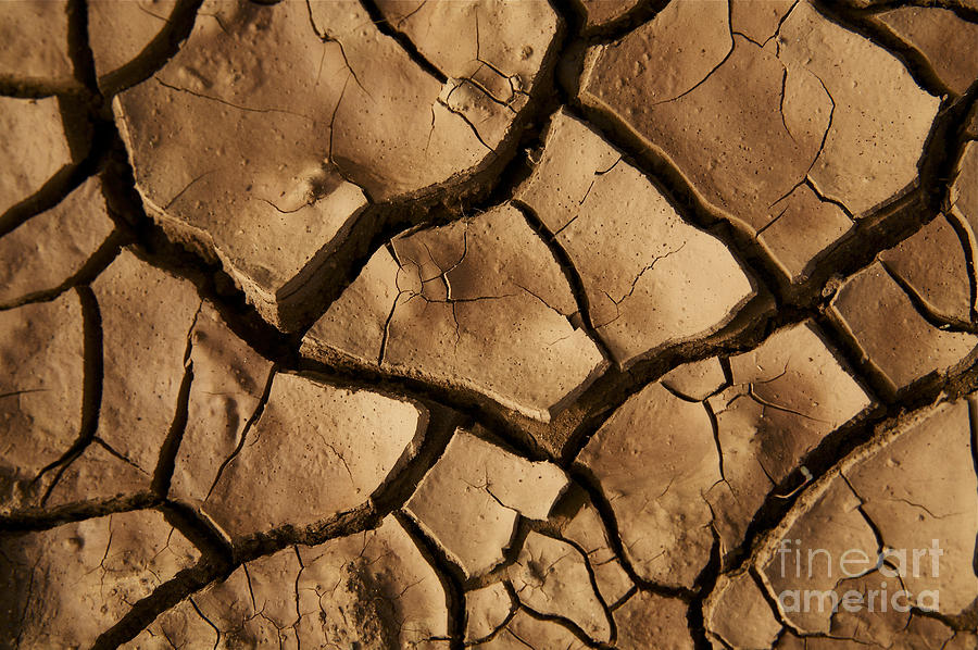 Cracked Ground I Photograph by Kicka Witte - Printscapes