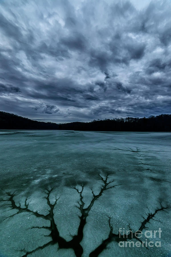 Cracked Ice Clouds Tree Pattern Photograph by Thomas R Fletcher