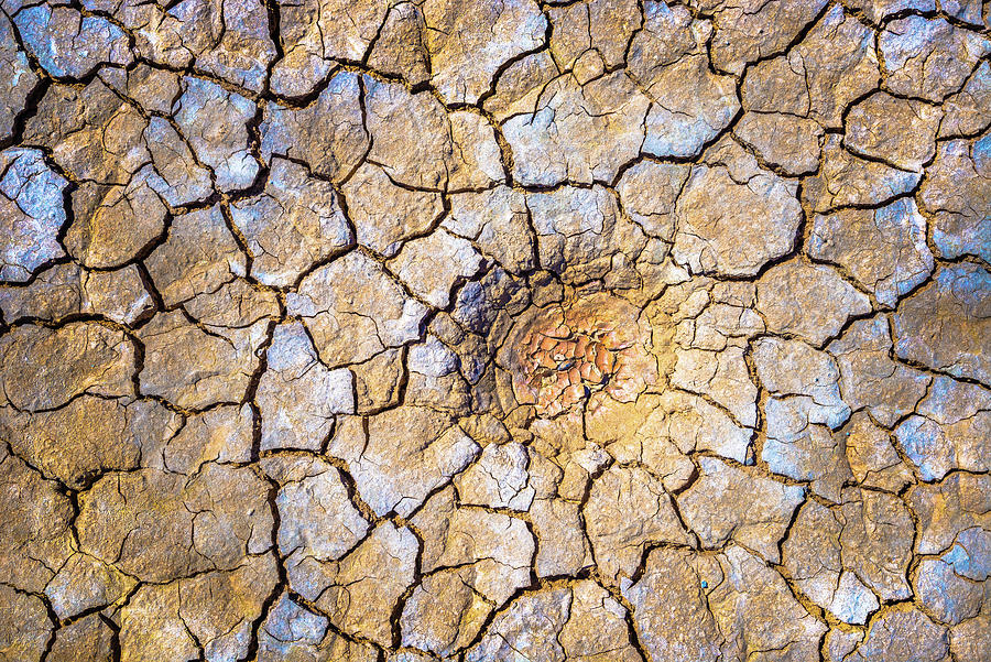 Cracked Mud 3 Photograph by Alexander Kunz