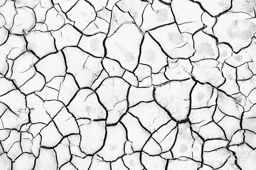 Cracked Mud Photograph by Brandon Tabiolo - Printscapes