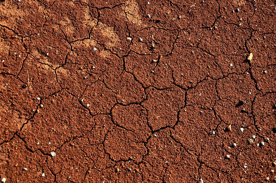 Nature Photograph - Cracked soil texture 01 by Damijana Cermelj