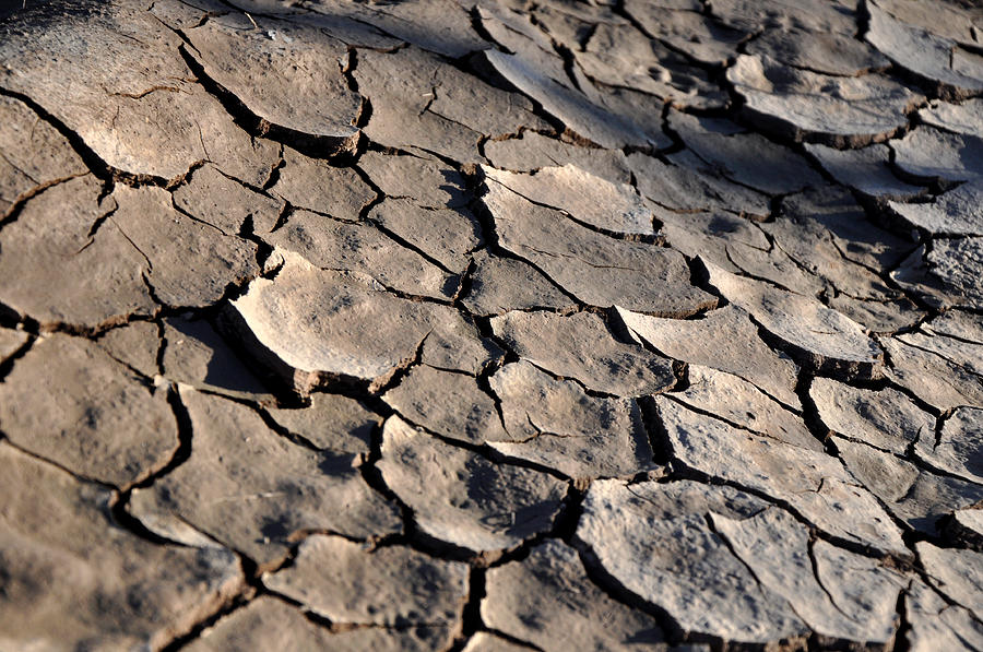 Nature Photograph - Cracked soil texture 03 by Damijana Cermelj