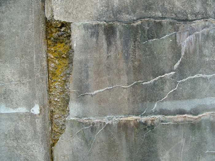 Wall Photograph - Cracked wall by Claudia Stewart Wall Photograph - Cracked wall by Claudia Stewart
