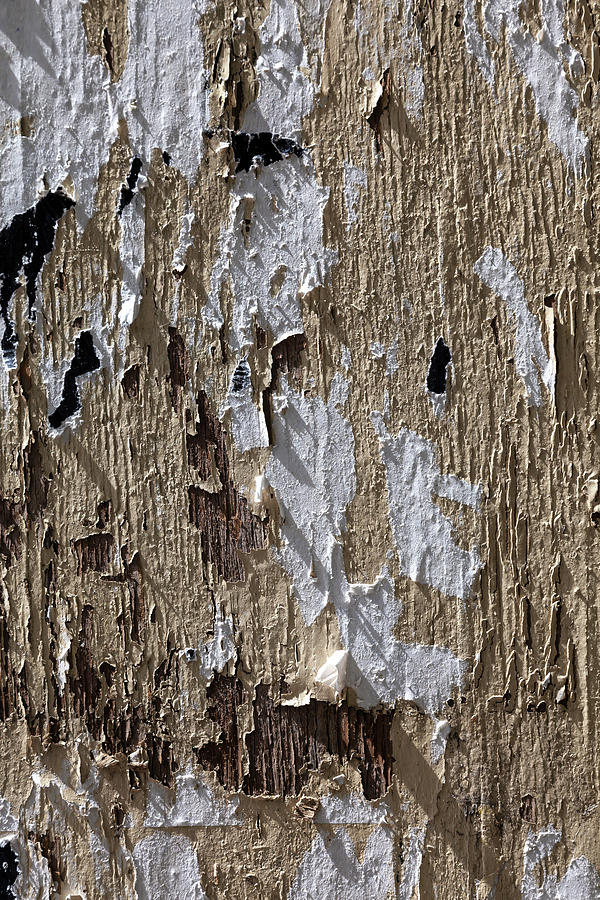 Cracked Wood and Peeling Paper Photograph by Robert Ullmann