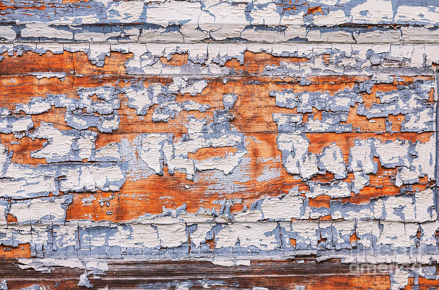 Cracked wood paint Photograph by Sophie McAulay