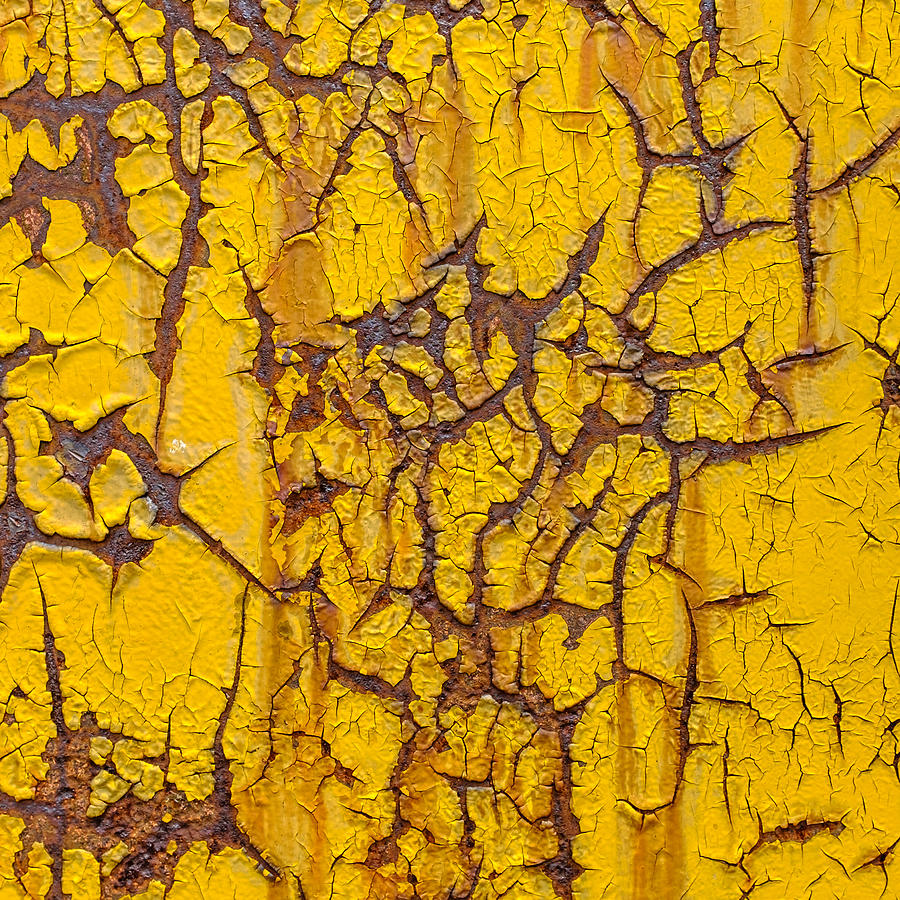 Cracked Yellow Paint over Rust - Square Photograph by Chris Bordeleau