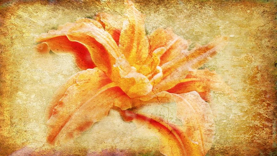 Crackled Orange Lily Photograph by Kathy Barney